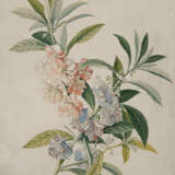 Georg Dionysius Ehret. Two Watercolours with Blue Mimulus and Impatiens Balsamina - фото 2