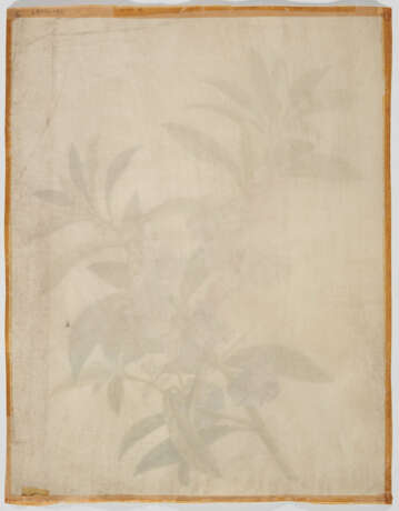 Georg Dionysius Ehret. Two Watercolours with Blue Mimulus and Impatiens Balsamina - photo 4