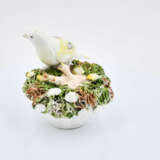 Meissen. Two porcelain bird nests with freshly hatched chicks - Foto 12