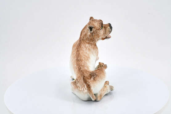 Meissen. Porcelain lioness with her cub - photo 5