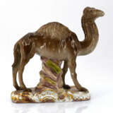 Meissen. Porcelain camel - photo 4