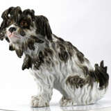Meissen. Porcelain figurine of a Bolognese dog - photo 3