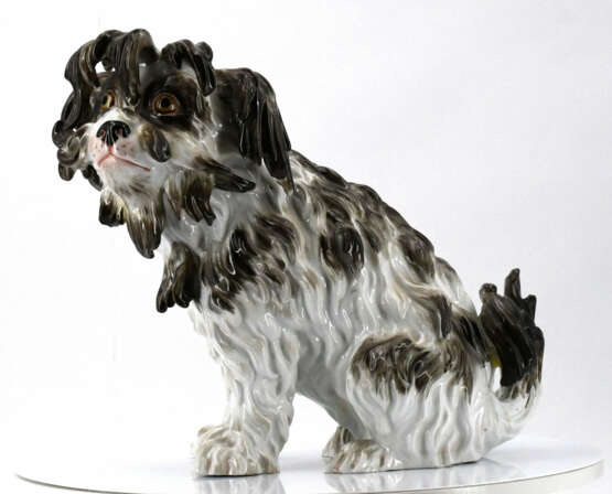 Meissen. Porcelain figurine of a Bolognese dog - Foto 3