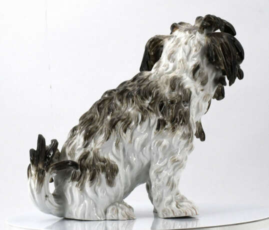 Meissen. Porcelain figurine of a Bolognese dog - Foto 5