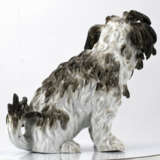Meissen. Porcelain figurine of a Bolognese dog - Foto 5
