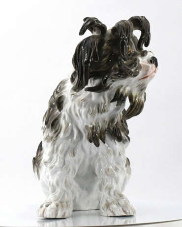 Meissen. Porcelain figurine of a Bolognese dog - Foto 6