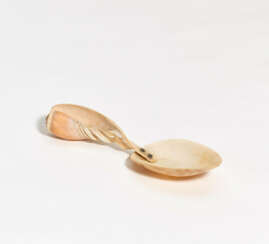 Seashell spoon for a cabinet of curiosities