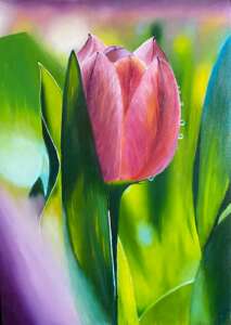 Peinture à l'huile "Tulipe"