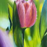 Painting “Oil painting Tulip”, Canvas on cardboard, Oil paint, Photorealism, Landscape painting, Russia, 2021 - photo 1