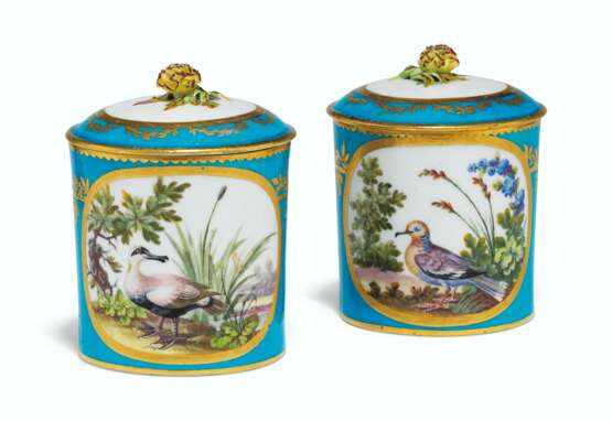 A PAIR OF SEVRES PORCELAIN BLEU CELESTE-GROUND ORNITHOLOGICAL POMADE-POTS AND COVERS (POTS A POMMADE) - фото 1