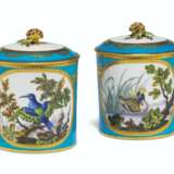 A PAIR OF SEVRES PORCELAIN BLEU CELESTE-GROUND ORNITHOLOGICAL POMADE-POTS AND COVERS (POTS A POMMADE) - фото 2