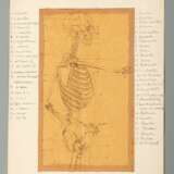 Anatomische Zeichnungen - photo 11