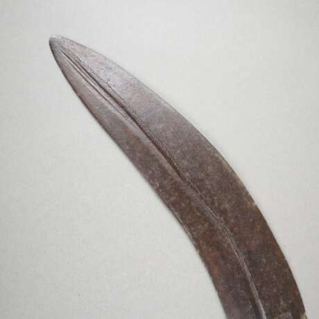 Afrikanisches Krummschwert - фото 2