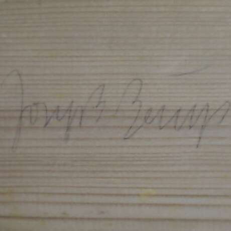 Beuys, Joseph - фото 5