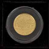 Die offiziellen Gold-EUROS, - фото 5
