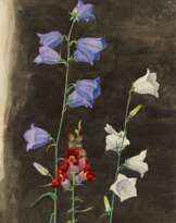 Glockenblumen und Löwenmaul