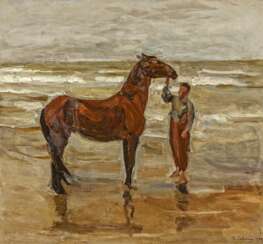 Junge mit Pferd am Strand