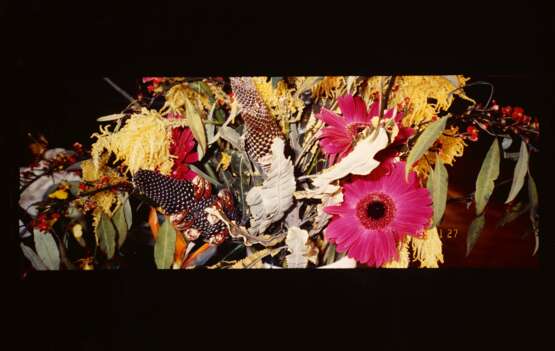 Nobuyoshi Araki. Untitled (Flowers). From: A Nikki/A Diary - Foto 1