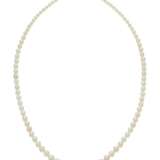 Marcus & Co.. MARCUS & CO. NATURAL PEARL, SAPPHIRE AND DIAMOND NECKLACE - фото 3