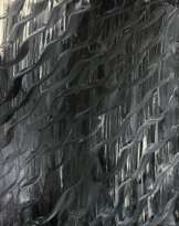 Lines Lines
