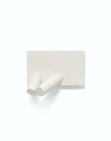 Sergio Camargo (1930-1990)