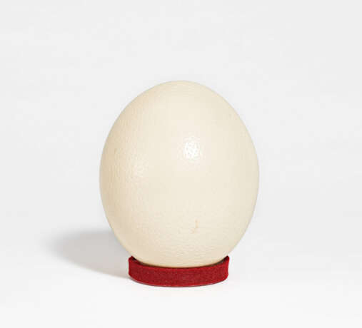 Ostrich Egg - photo 1