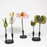 Presumably Germany. Three Plant-Anatomical Models - Foto 1