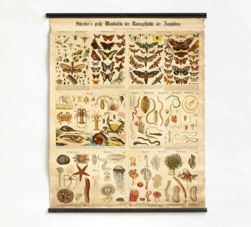 Esslingen. Five "Schreiber's große Wandtafeln der Naturgeschichte der Amphibien" & a Map of Africa - photo 5
