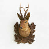 Preserved Specimen of a Powerful Roebuck - photo 1