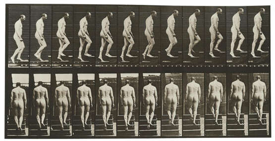 Eadweard (Edward James Muybridge) Muybridge. Animal Locomotion (Plate 89) - photo 1