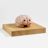 Jan Fabre. The Brain of a Messenger of Death - photo 1