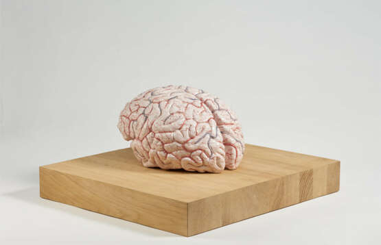 Jan Fabre. The Brain of a Messenger of Death - photo 3