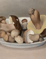 Natura morta con funghi