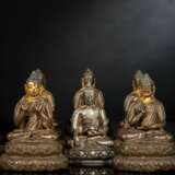 Die sieben Medizinbuddhas und Buddha Shakyamuni - photo 2