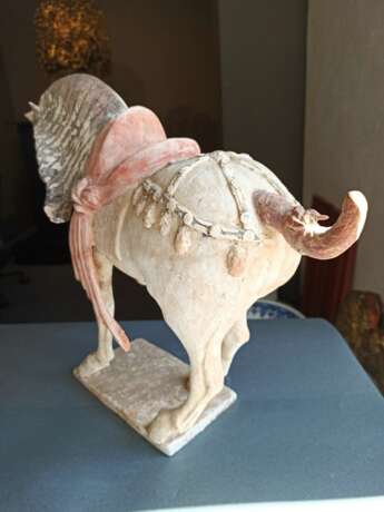 Kalt bemaltes Pferd aus Irdenware mit angehobenem rechten Fuß auf einer rechteckigen Plinthe stehend - Foto 6