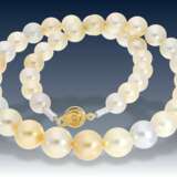 Kette/Collier: außergewöhnliche, teure Multicolour-Südsee-Zuchtperlen-Kette/Perlenstrang mit besonders schönen und hochwertigen Perlen - фото 1