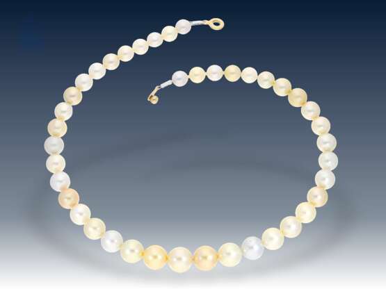 Kette/Collier: außergewöhnliche, teure Multicolour-Südsee-Zuchtperlen-Kette/Perlenstrang mit besonders schönen und hochwertigen Perlen - photo 3