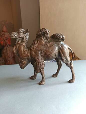 Bronze eines schreitenden baktrischen Kamels - Foto 2