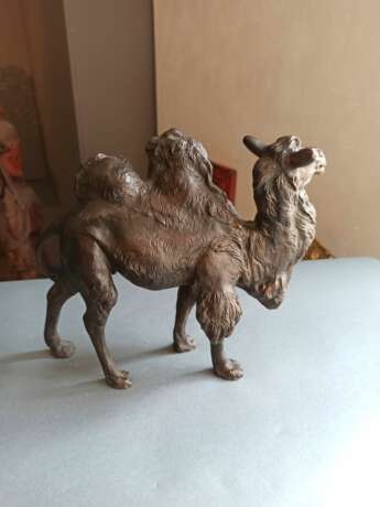Bronze eines schreitenden baktrischen Kamels - фото 3