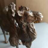 Bronze eines schreitenden baktrischen Kamels - Foto 6