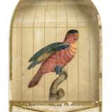 A PAIR OF GLAZED 'BIRDCAGE' COLOURED PRINTS OF PARROTS - photo 3