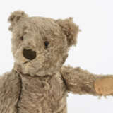 "Original-Teddy" - photo 3