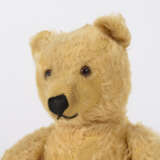 Goldfarbener Teddy - Foto 2