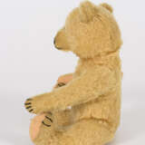Goldfarbener Teddy - фото 4