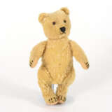 Goldfarbener Teddy - фото 5