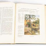 "Die französischen Kolonien in Wort und Bild" 2 Bände - photo 3