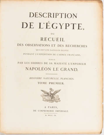 BALTARD, Louis-Pierre (1764 - 1846). Vue due Sphinx. - фото 2