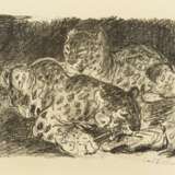FISCHER, Carl (1809 - 1974). Leopardin. - Foto 1