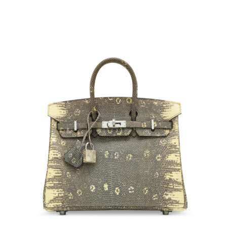 A SHINY OMBRÉ SALVATOR LIZARD BIRKIN 25 WITH PALLADIUM HARDWARE - photo 1