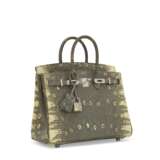 A SHINY OMBRÉ SALVATOR LIZARD BIRKIN 25 WITH PALLADIUM HARDWARE - photo 2